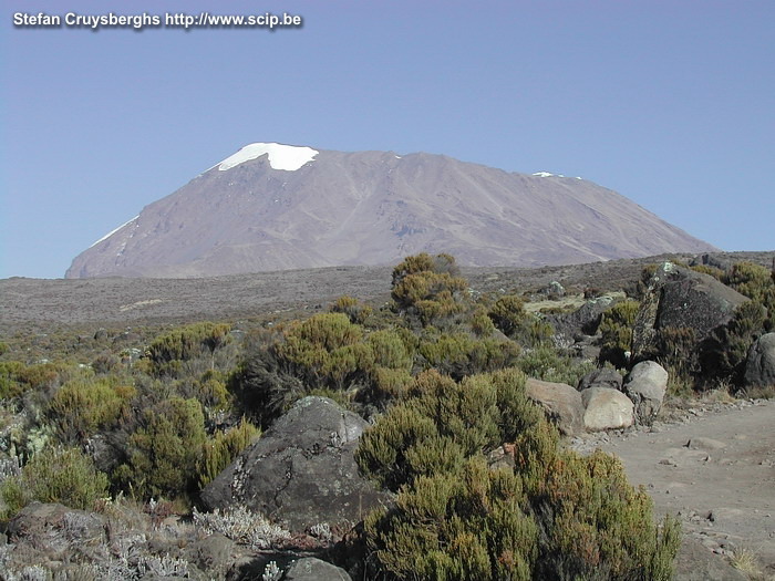Kilimanjaro - Dag 2 - Zicht op Uhuru De Kibo vulkaan met de witte toppen van Uhuru peak. De tweede dag verdwijnt de weelderige begroeiing al snel en het landschap gaat over in heide, grassen en lage struiken. Men noemt dit 'moorland'. In de namiddag kom je aan in de Horombohut op 3700m. Bij heel wat mensen duiken dan de eerste verschijnselen van hoogteziekte op.  Stefan Cruysberghs